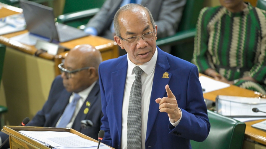 The Deputy Prime Minister and Minister of National Security and Peace, the Honourable Dr Horace Chang